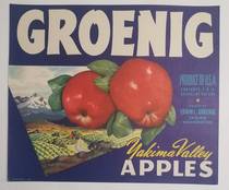 Groenig