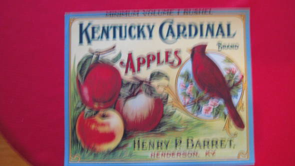Kentucky Cardinal Fruit Crate Label