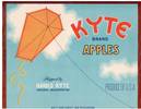 Kyte