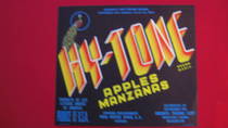Hy Tone