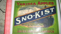 Snokist
