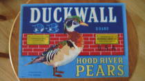 Duckwall D-B