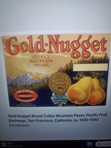 Gold Nugget Colfax Fruit Crate Label