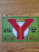 Big Y Green NWNLT42LBSWS