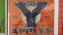 Big Y