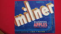 Milnor