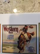 Western 40lbnltwp