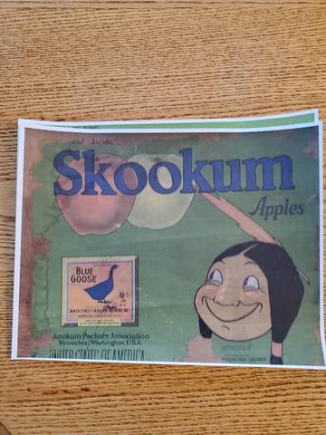 Skookum AFG Ninth ST Green No Grade Apples Fruit Crate Label