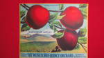 Northwest Apples