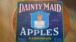 Dainty Maid Blue