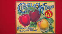 Circle W