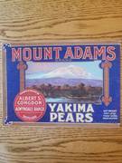 Mount Adams Copy