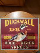 Duckwall Brown Brick SD