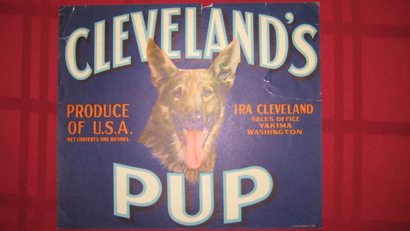 Cleveland's Pup ST LR Fruit Crate Label