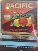 Pacific Red 40LBS
