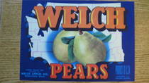 Welch Pears
