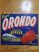 Trapps Orondo