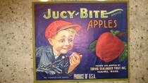 Jucy Bite