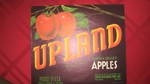 Upland crocker union