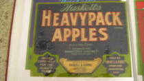 Heavypack Blue Wenatchee Blue Label grade