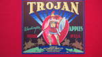 Trojan