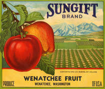 Sungift