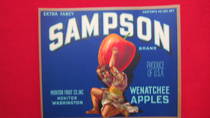 Sampson