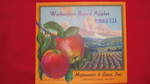 Washington Boxed Apples