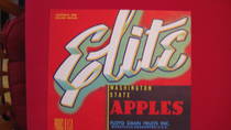 Elite