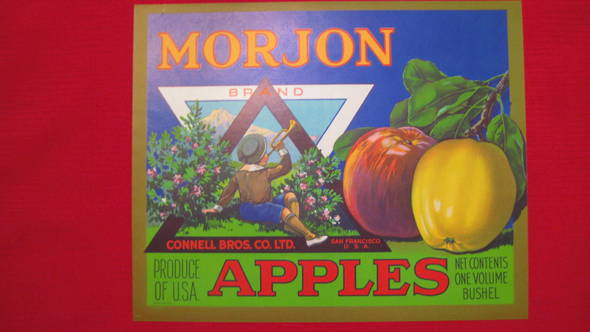 Morjon Fruit Crate Label