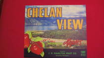 Chelan View