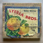 Lyerla Brothers Gold Bros