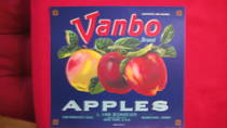 Vanbo