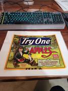 Try One NW with dog