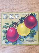DKP