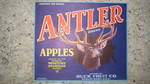 Antler Wenatchee-Okanogan