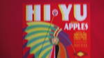 Hi Yu