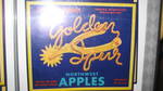 Golden Spur