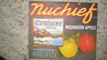 Nuchief Cruiser insert