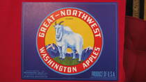 Great-Northwest