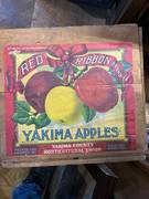 Red Ribbon 40LBS UL