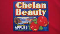 Chelan Beauty