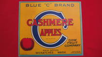 Blue C