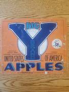Big Y Doc Apple Small font US