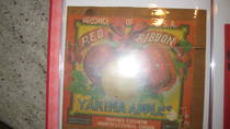Red Ribbon 40# net 1 branch