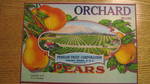Orchard