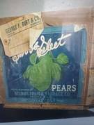 Stubbs Select No Litho