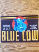 Blue Cow