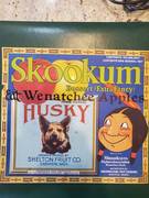 Skookum Husky Shelton