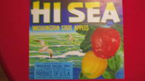 Hi Sea